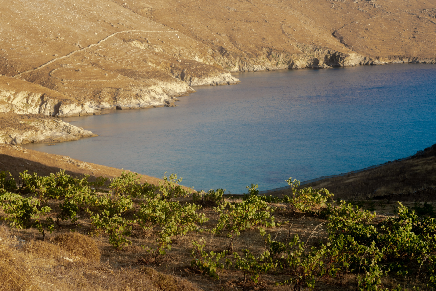 Crop image project-58